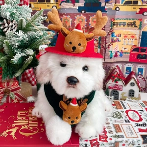 Geborduurd Kerst Huisdier Hoed En Sjaal Set Kerstman Rendier Hond Kat Halsband Feestelijke Kostuum Accessoires