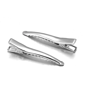 Pair of polished silver metal alligator hair clips for DIY accessories and styling