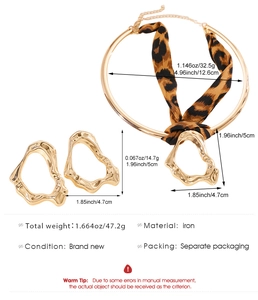 Detail view of leopard print ribbon choker and irregular gold-tone hoop earrings set.