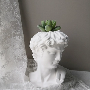Classic David portrait silicone mold for DIY concrete plaster succulent planters