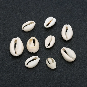 Detailed view of natural cowrie shells with polished cream finish on dark background