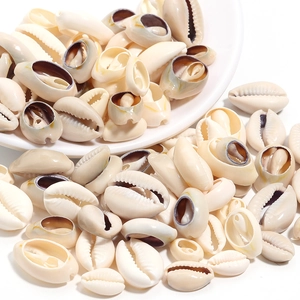 Natural cowrie shells for DIY jewelry making in creamy white color with jagged edges