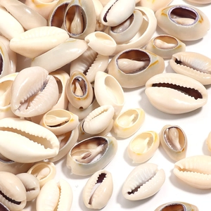Detailed top view of natural cowrie shells in creamy white for handmade jewelry DIY