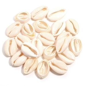 Natural cowrie shell charms set in cream white for DIY jewelry making and necklaces