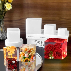DIY cube silicone molds set for resin casting with various sizes and floral specimens