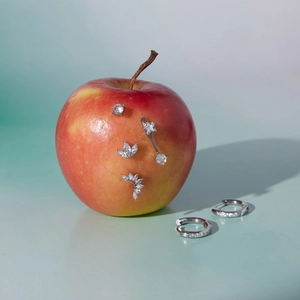 Detailed view of silver stainless steel earrings and zirconia studs on an apple