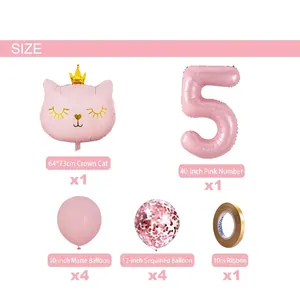 Pink cat theme birthday party balloon set with crown cat foil and number five balloon
