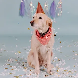 Dog birthday party set with rose gold hat, plaid bandana, and collar on blue background