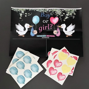 Kit Affiche De Vote Pour Fête De Révélation Du Sexe Jeu Autocollants Prédiction Bébé Pour Décoration De Baby Shower