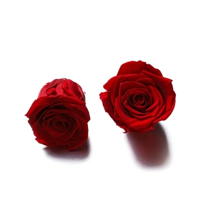 Close-up of preserved red rose heads with delicate petals for romantic gift sets