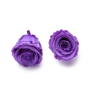 Detail view of two vibrant purple preserved rose heads showing delicate petal texture