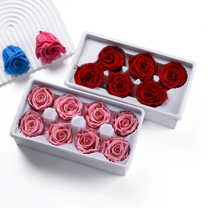 Top view of vibrant preserved roses in red and pink colors displayed in trays