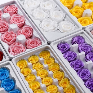 Vibrant preserved rose flower heads in assorted colors on professional grid tray