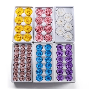 Preserved rose gift set featuring multi-color roses in protective storage boxes