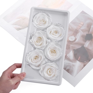 Detail of six white preserved rose heads in a plastic tray for DIY floral arrangements