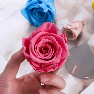Close-up of preserved rose petals in vibrant magenta with detailed texture and layers
