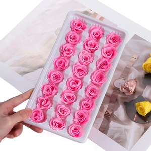 Set of 24 preserved pink rose heads in a tray for DIY gift decoration and floral arrangements