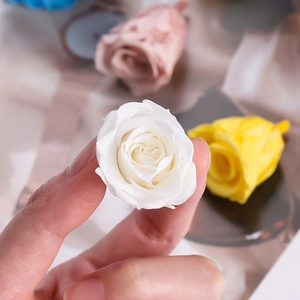 Handmade preserved white rose bloom for DIY flower arrangements and gift boxes