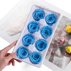 Close-up of eight sky blue preserved roses in a tray for DIY gift decoration