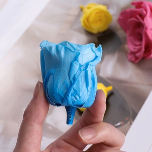 Macro view of a blue preserved rose head held in hand showing realistic petal textures