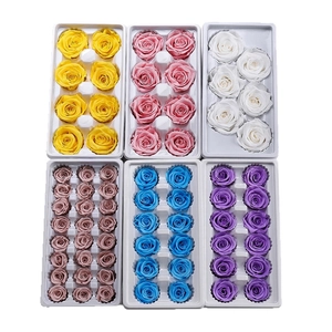 Set of preserved rose heads in six colors including pink and blue in plastic trays