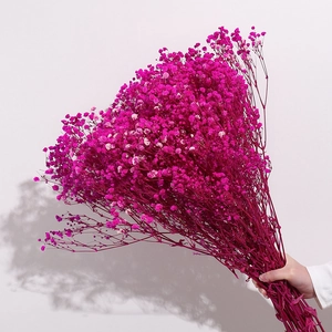 Hand holding a lush bouquet of dried rose red baby's breath flowers for home decoration