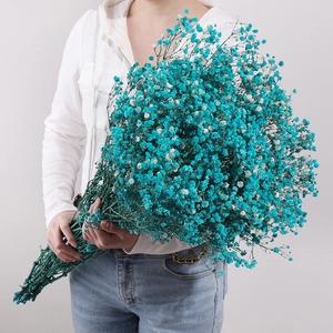 Large bouquet of preserved blue baby's breath flowers for home decor held by a person