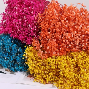 Colorful dried gypsophila bouquet in vibrant pink, orange, blue, and yellow for home decor