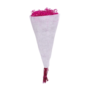 Dried gypsophila bouquet in rose pink color with white paper wrapping for decoration
