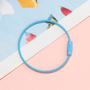 Macro detail of a light blue steel wire keychain ring with a secure screw connector