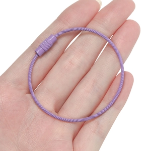 Detail of purple coated steel wire keychain ring with textured metal screw fastener