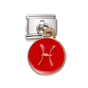 Close-up of a stainless steel square link with a red enamel Pisces zodiac charm