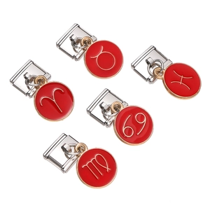 Five stainless steel modular links with red enamel zodiac pendants in a flat lay view