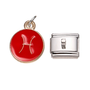 Macro view of red enamel Pisces zodiac charm and modular stainless steel link component