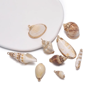 Detail von natürlichen Muscheln mit vergoldetem Rand für DIY-Schmuckherstellung