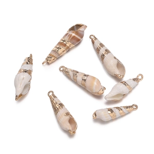 Set mit 6 natürlichen Spiralmuschel-Anhängern mit vergoldetem Rand für DIY-Schmuck