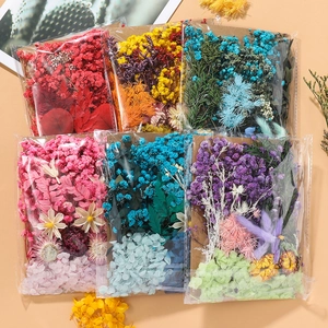 Assorted dried flower DIY material kits in multi-color packs for handmade crafts
