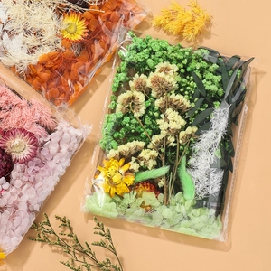 Assorted dried flower DIY material set with hydrangea and daisy in plastic bags