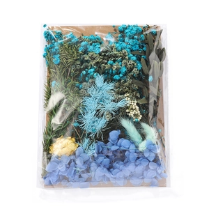 Assorted blue and green dried flowers kit in clear plastic packaging with kraft paper backing