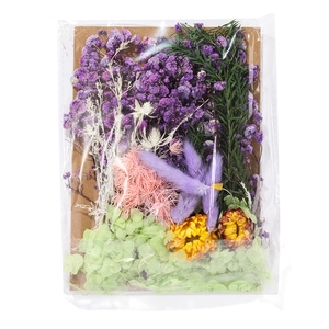 Detailed view of dried flowers in transparent packaging for DIY resin and candle art