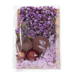 Detailed assortment of dried flowers including purple statice and hydrangea in clear packaging
