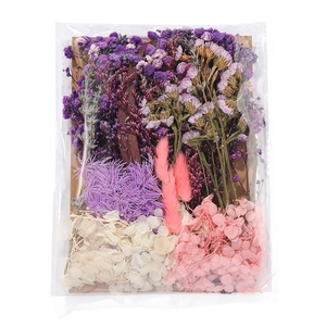 Detailed view of mixed dried flower material pack with purple statice and pink hydrangea