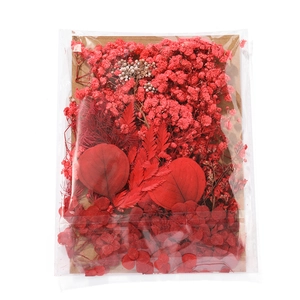 Detail of red dried flower DIY kit with baby's breath and eucalyptus leaves in transparent bag