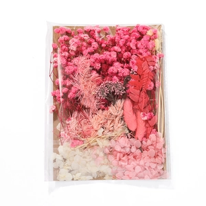 Detailed DIY dried flower kit with pink gypsophila and white hydrangea on kraft paper