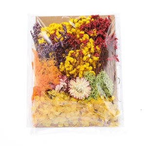 Macro detail of DIY dried flower set with colorful hydrangea and moss for handicrafts