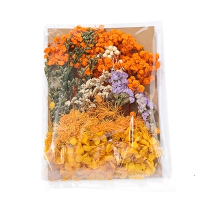 DIY dried flower pack with colorful hydrangea and gypsophila in secure clear packaging