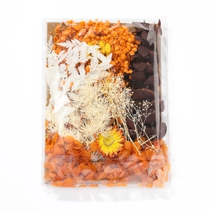 Detailed macro view of assorted dried flower DIY materials in transparent packaging