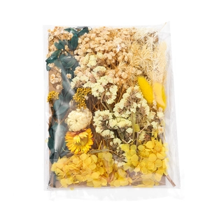 Detailed close-up of yellow and white dried flower material pack for DIY floral crafts