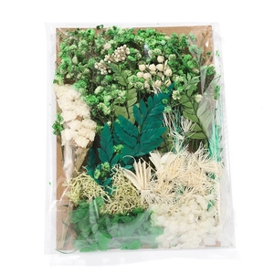 Detailed flat lay of green and white dried flowers DIY kit in transparent packaging