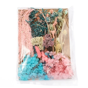 Detailed view of mixed dried hydrangea and bunny tail flowers in clear DIY packaging